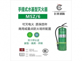 ����ʽˮ���������MSZ/6