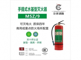 ����ʽˮ���������MSZ/9