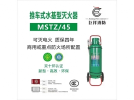 �Ƴ�ʽˮ���������I MSTZ/45