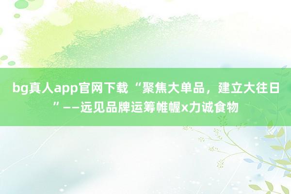 bg真人app官网下载 “聚焦大单品，建立大往日”——远见品牌运筹帷幄x力诚食物