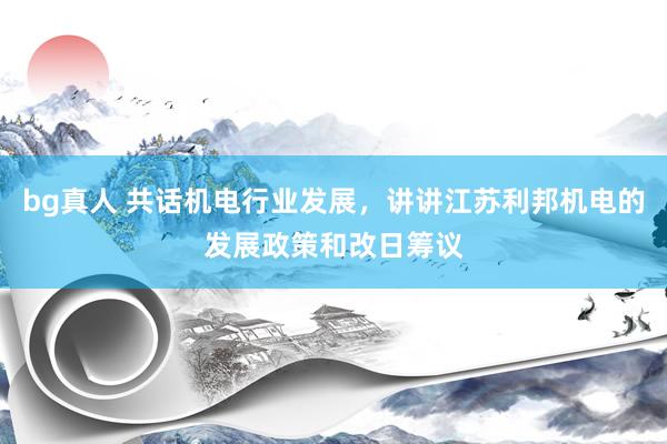 bg真人 共话机电行业发展，讲讲江苏利邦机电的发展政策和改日筹议