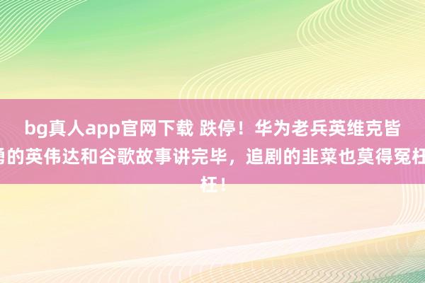 bg真人app官网下载 跌停！华为老兵英维克皆勇的英伟达和谷歌故事讲完毕，追剧的韭菜也莫得冤枉！