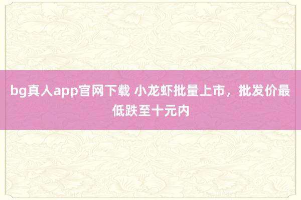 bg真人app官网下载 小龙虾批量上市，批发价最低跌至十元内