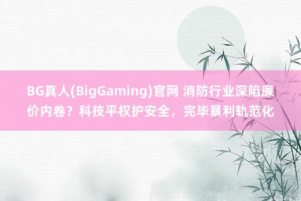 BG真人(BigGaming)官网 消防行业深陷廉价内卷？科技平权护安全，完毕暴利轨范化