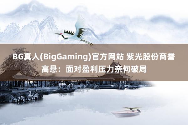 BG真人(BigGaming)官方网站 紫光股份商誉高悬：面对盈利压力奈何破局