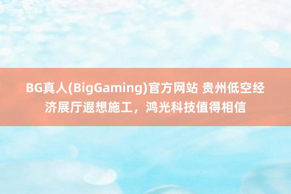 BG真人(BigGaming)官方网站 贵州低空经济展厅遐想施工，鸿光科技值得相信