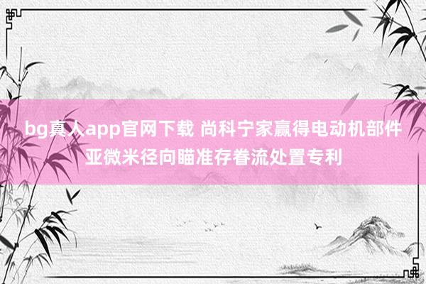 bg真人app官网下载 尚科宁家赢得电动机部件亚微米径向瞄准存眷流处置专利