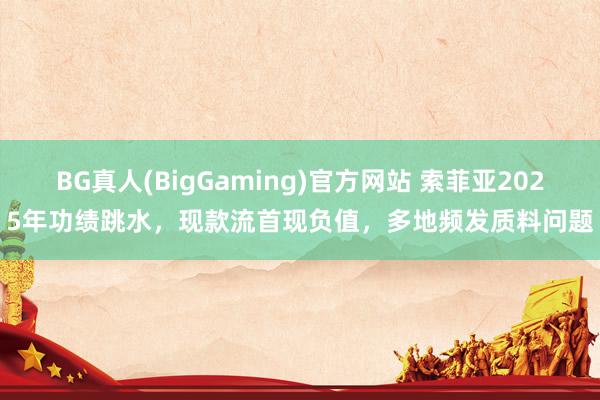 BG真人(BigGaming)官方网站 索菲亚2025年功绩跳水，现款流首现负值，多地频发质料问题