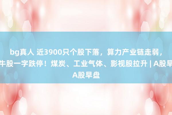 bg真人 近3900只个股下落，算力产业链走弱，大牛股一字跌停！煤炭、工业气体、影视股拉升 | A股早盘