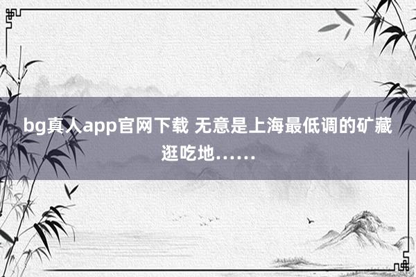 bg真人app官网下载 无意是上海最低调的矿藏逛吃地……