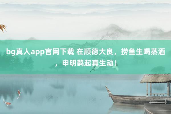 bg真人app官网下载 在顺德大良，捞鱼生喝蒸酒，申明鹊起真生动！