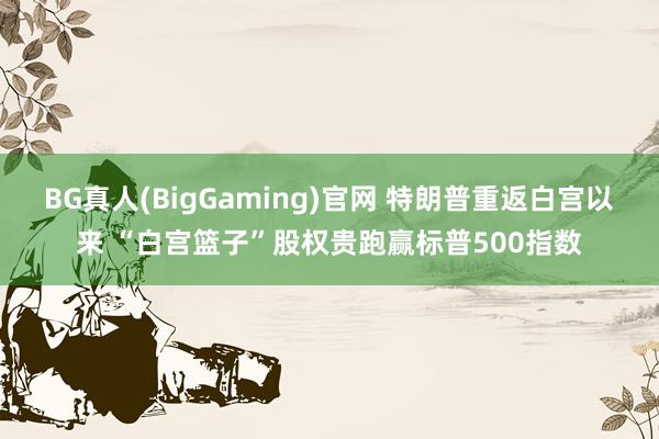 BG真人(BigGaming)官网 特朗普重返白宫以来 “白宫篮子”股权贵跑赢标普500指数