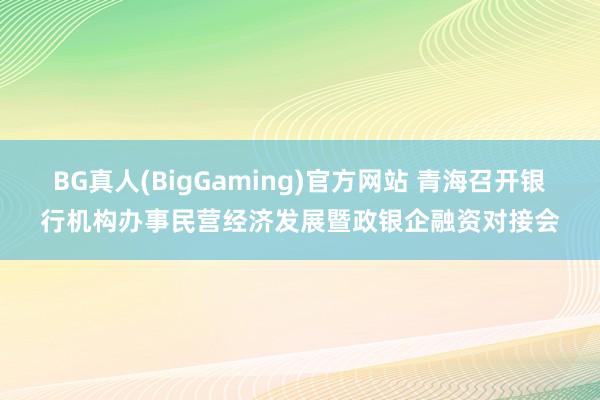 BG真人(BigGaming)官方网站 青海召开银行机构办事民营经济发展暨政银企融资对接会
