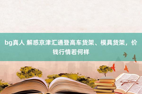 bg真人 解惑京津汇通登高车货架、模具货架，价钱行情若何样