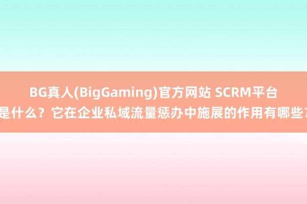 BG真人(BigGaming)官方网站 SCRM平台是什么？它在企业私域流量惩办中施展的作用有哪些？