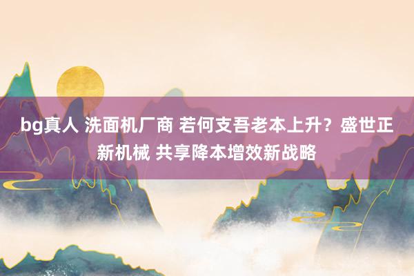 bg真人 洗面机厂商 若何支吾老本上升？盛世正新机械 共享降本增效新战略