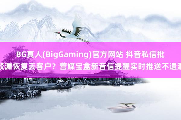 BG真人(BigGaming)官方网站 抖音私信批驳漏恢复丢客户？营媒宝盒新音信提醒实时推送不遗漏