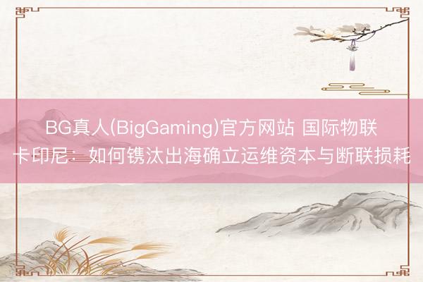 BG真人(BigGaming)官方网站 国际物联卡印尼：如何镌汰出海确立运维资本与断联损耗