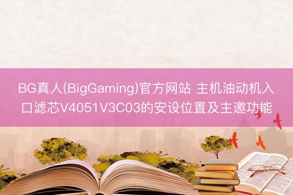 BG真人(BigGaming)官方网站 主机油动机入口滤芯V4051V3C03的安设位置及主邀功能