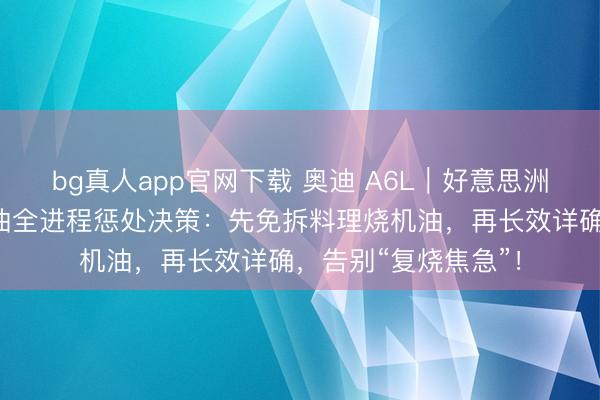 bg真人app官网下载 奥迪 A6L｜好意思洲豹车养护料理烧机油全进程惩处决策：先免拆料理烧机油，再长效详确，告别“复烧焦急”！